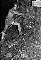 souvenirs en noir et blanc (476)